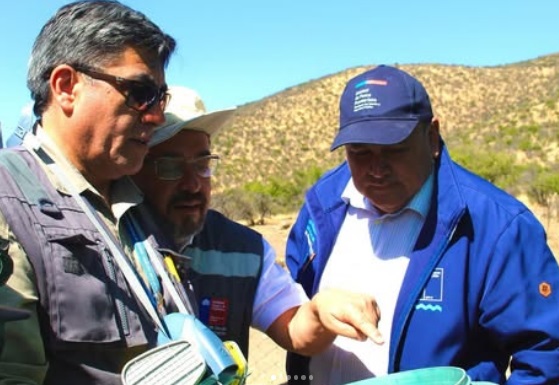 Seremi de Salud realiza acciones de prevención tras pesquisa de huevos de Aedes aegypti en Los Andes