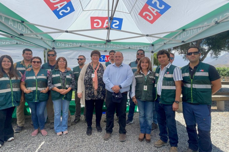 Autoridades anunciaron la erradicación de la mosca de la fruta en Los Andes, San Esteban y la Región de Valparaíso