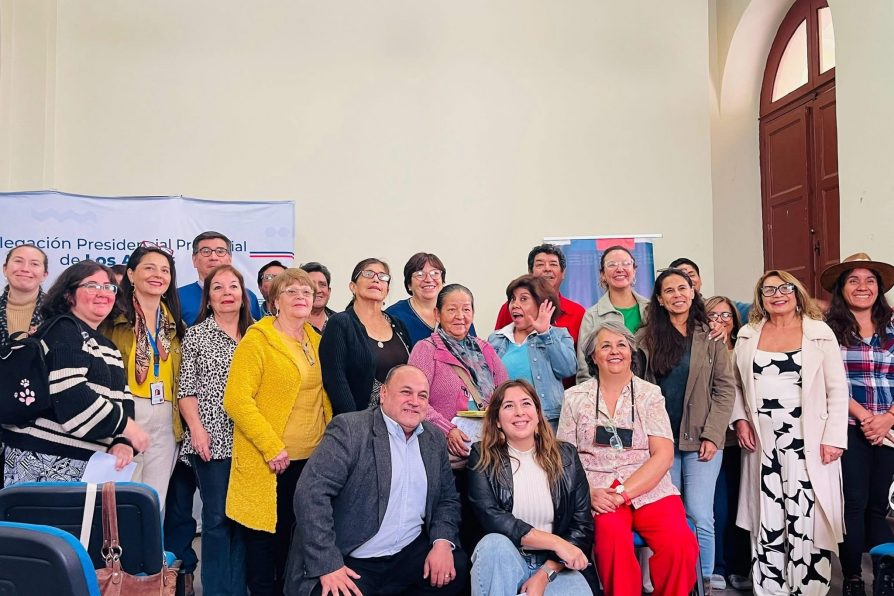 GOBIERNO CAPACITA A DIRIGENTES SOCIALES DE LA PROVINCIA DE LOS ANDES PARA POSTULAR A FONDOS CONCURSABLES SEGEGOB 2025